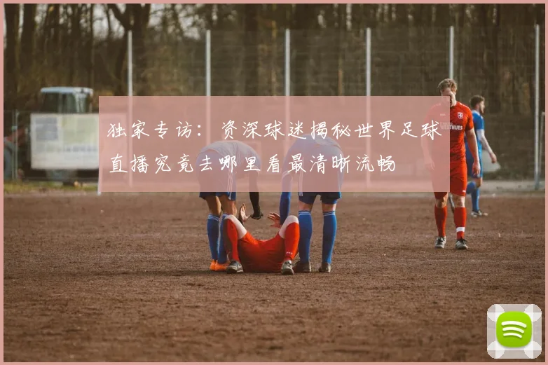 独家专访：资深球迷揭秘世界足球直播究竟去哪里看最清晰流畅