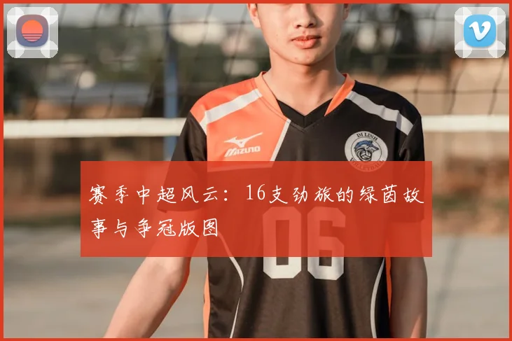 赛季中超风云:16支劲旅的绿茵故事与争冠版图