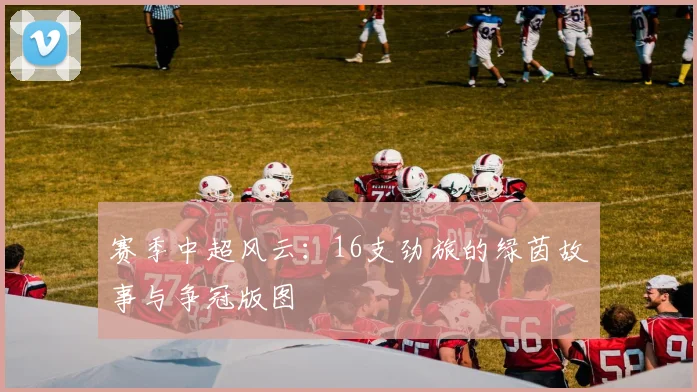 赛季中超风云：16支劲旅的绿茵故事与争冠版图